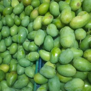 Amrupali - আমরুপালি